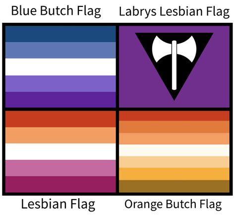 butch lesbian flag|A History of the Lesbian Flag .